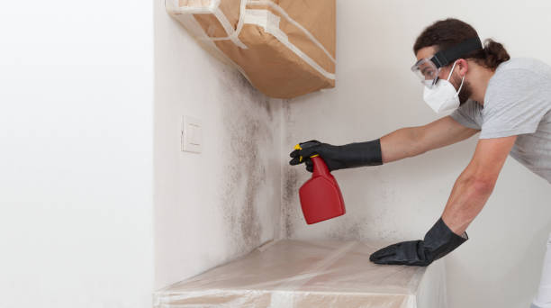 Professional Crawl Space Mold Remediation technician working in La Center, WA